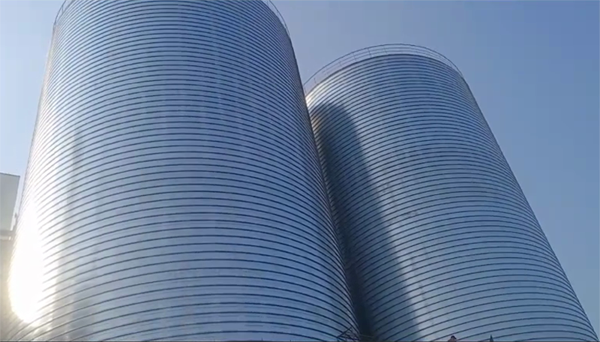 剑川2座混凝土高架卷板仓